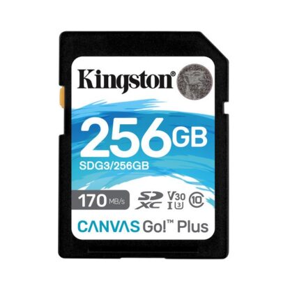 Kingston SDG3/256G 256GB SD Card