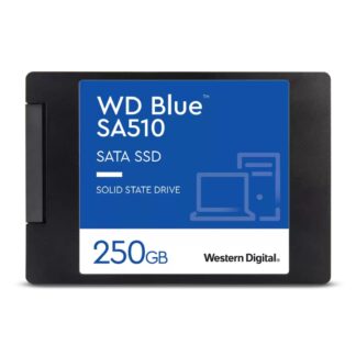 WDS250G3B0A-00AXR0