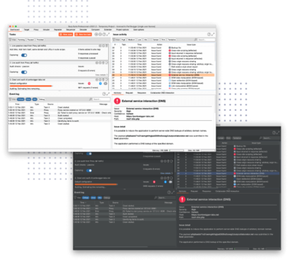 BurpSuite Enterprise License - Image 2