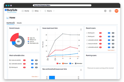 BurpSuite Enterprise License