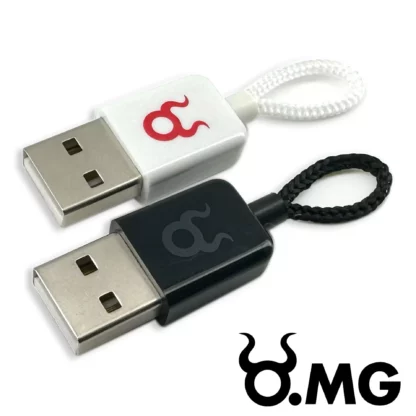 Hak5 O.MG Plug